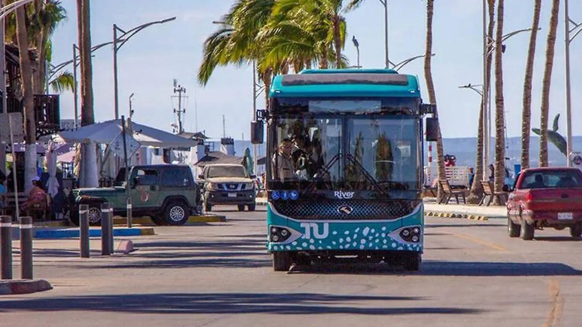 Tiburon urbano llega a la paz